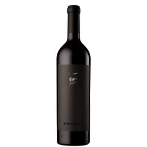 ALMA NEGRA MISTÉRIO